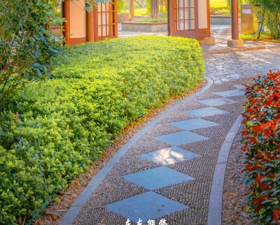 林三酒和斯巴安