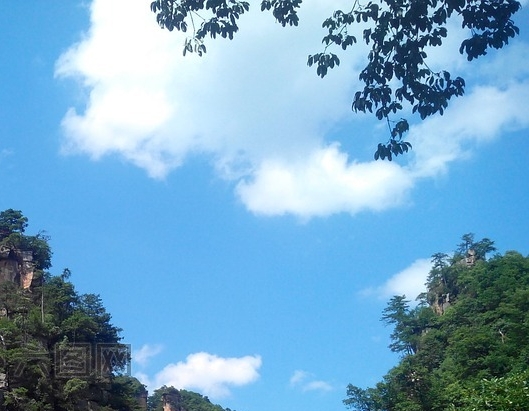 小学春节活动方案