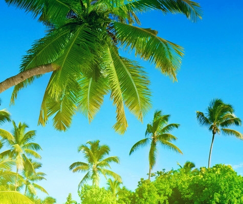 舞动奇迹第二季