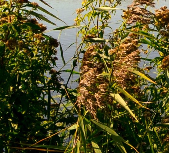大面积墙面涂鸦怎么处理