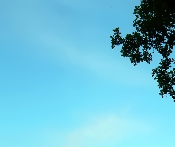 哪个奇迹更好玩？怀旧版还是变态手游？
