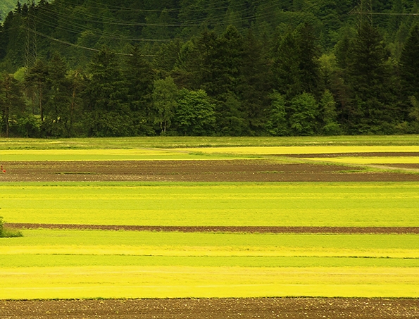 早餐这样做,简单营养又美味