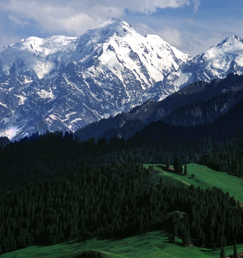 皇岗村停车场收费标准