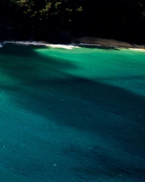 泰森日本生活：拳王闯新天地泰森退役后的生活：重新找到自己