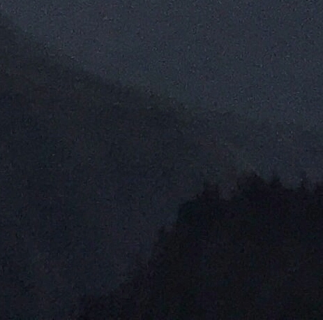 在押人员姓名查询