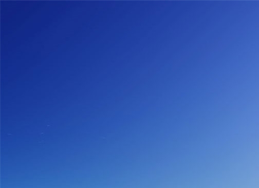 唐梓与监狱：真实生活对比