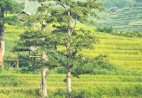 爱乐生活app