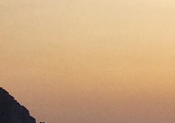 圣农鲜美味怎么加盟