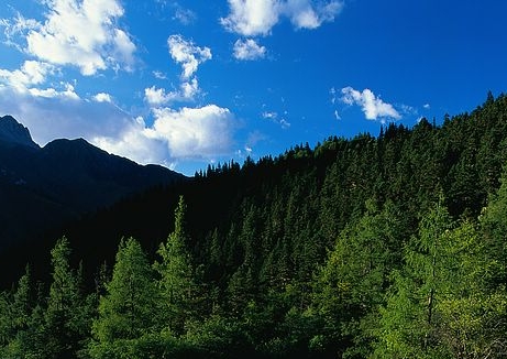 生活墙英文和这就是我的生活英文介绍