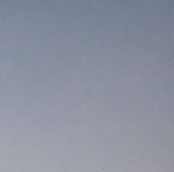 鄂颇与鄂万湘：两位领袖的简历对比
