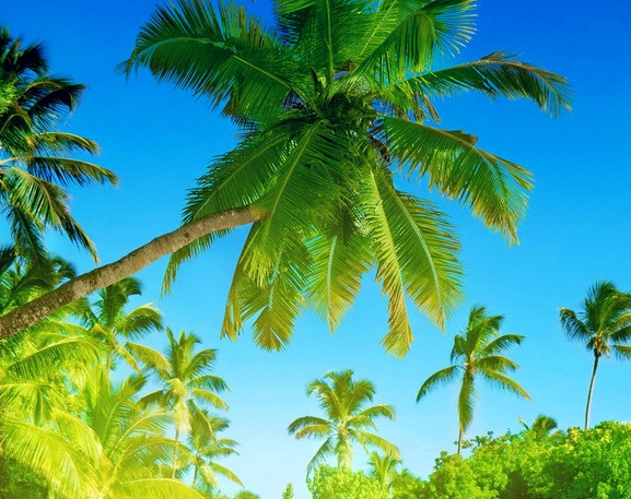 全球十大科技前沿技术