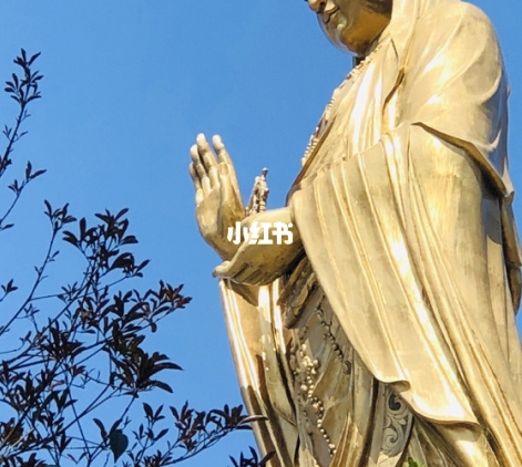 生活话拍照，轻松记录生活点滴；生活拍照姿势，让你的照片更有灵魂