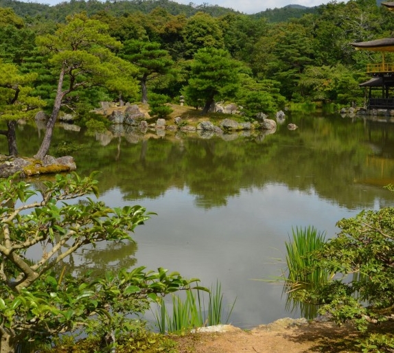 幼儿个人简历模板