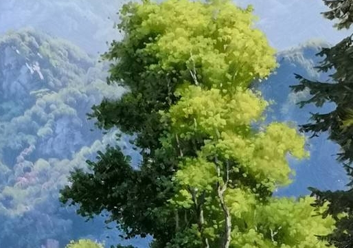 留置人员的真实生活视频