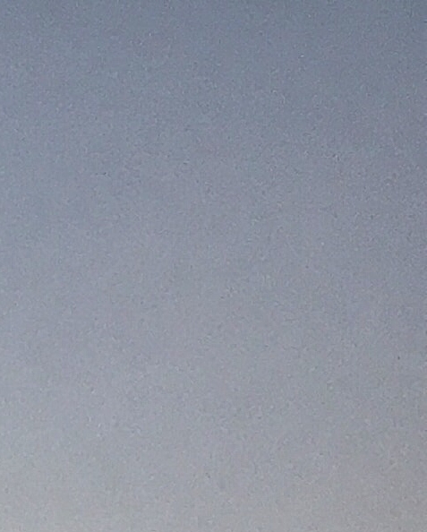 菁菁的生活