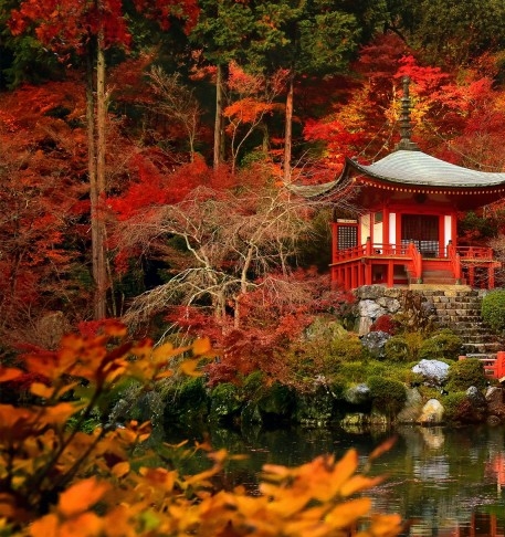 上海奇迹花园简介