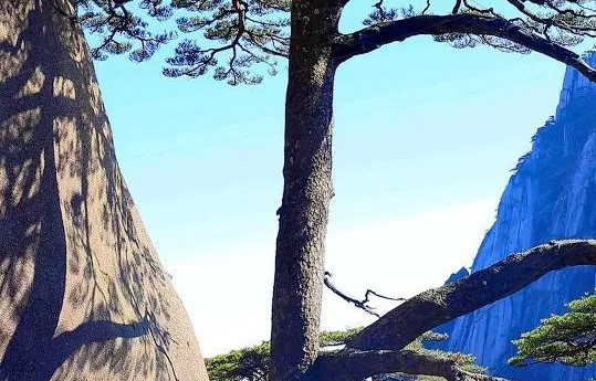 姓名测试婚姻配对打分免费