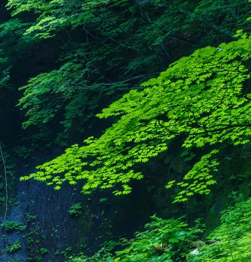 过年趣事：现在与小时候的回忆