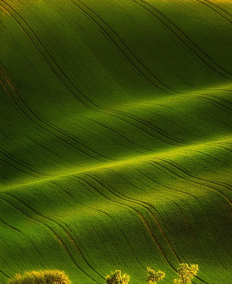 肺活量测试教学视频