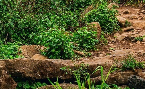陈秋成与桂林安通驾校：驾驭安全路程的专业力量