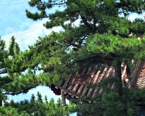 东山宾馆周苏国简历