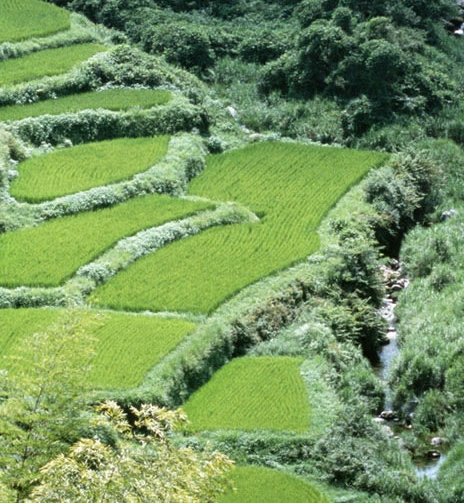 遂宁科技馆地址
