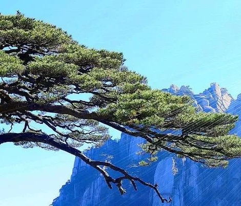 海啸奇迹国语未删减在线播放