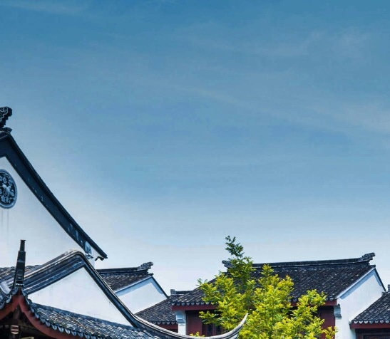 理想华莱生物科技集团