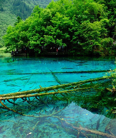 奇迹暖暖破解版