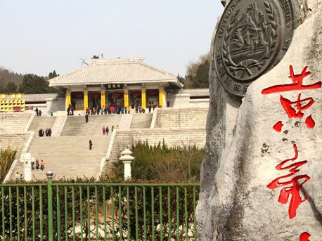 山东大桥集团张博简历图片