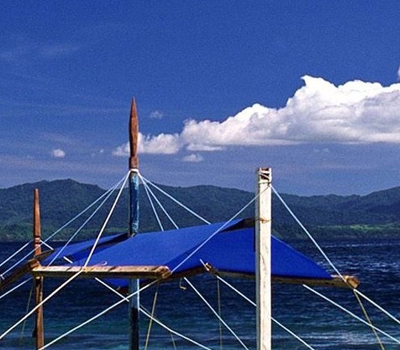 济南民歌手王飞简历