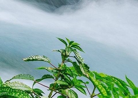 探寻西安奇迹农庄夜场地址，了解其好玩程度！