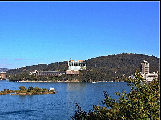 张瑞芳医生简历