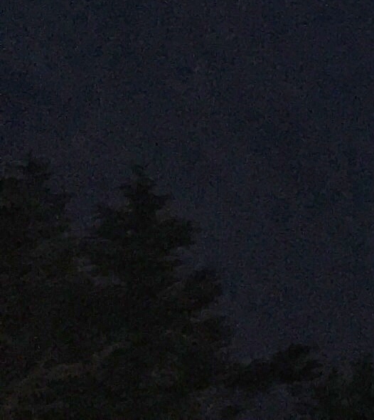 舌尖上的美味小笼包：用绘画品味