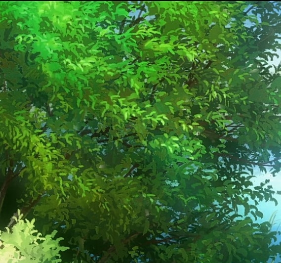 袁隆平水稻趣闻
