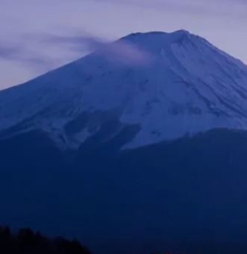 黏土教案小班
