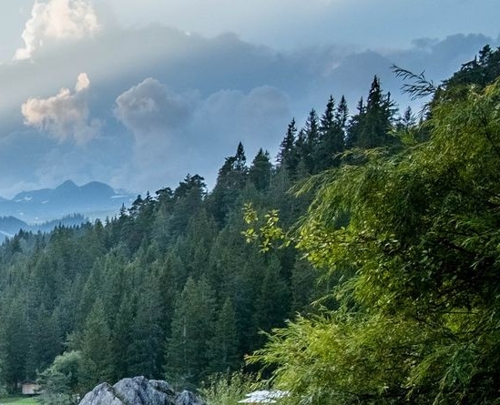 大家都在讨论的个性情侣姓名英文与个性情侣姓名英文