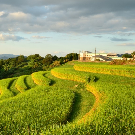 沿山佳园