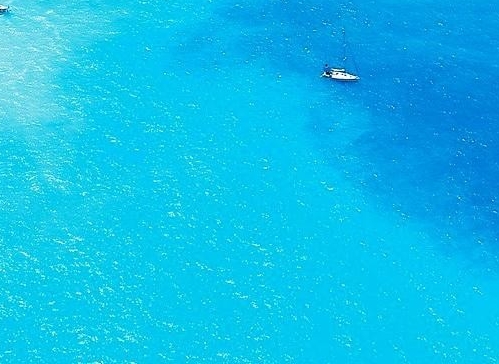 宛央法国科技美肤中心注册