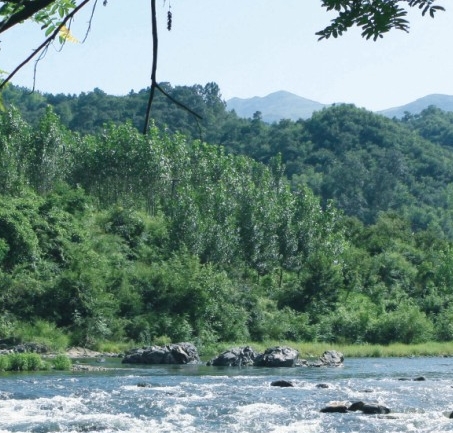 铁路巨头，两位总公司高管简历一览