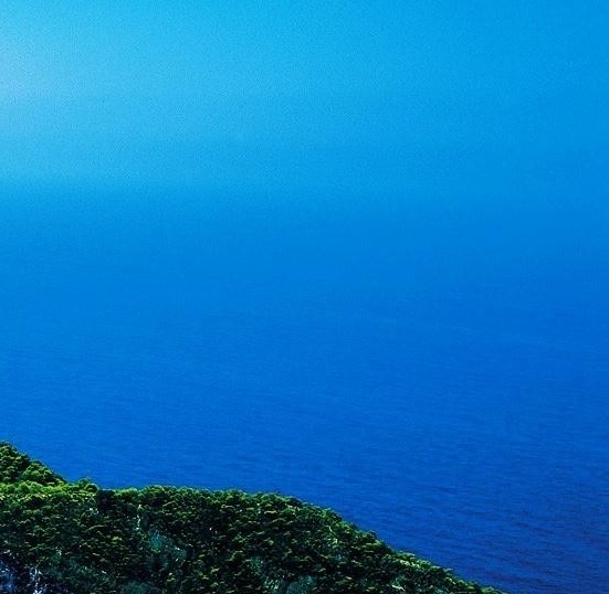 吴兴佩画家简历临沂