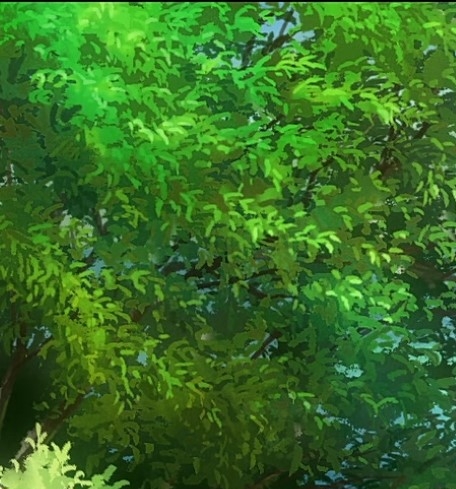 生活，或艳阳天般明媚，或万花筒般多彩