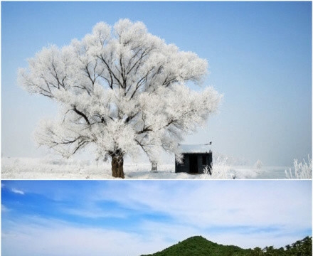 五区是什么意思