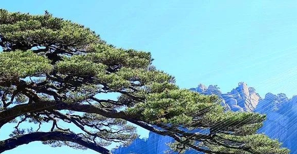 探秘男主！日剧我们是由奇迹构成的主演是谁？