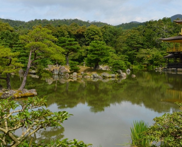 林芝三位优秀人才简历：李海波、秦松茂、马增康