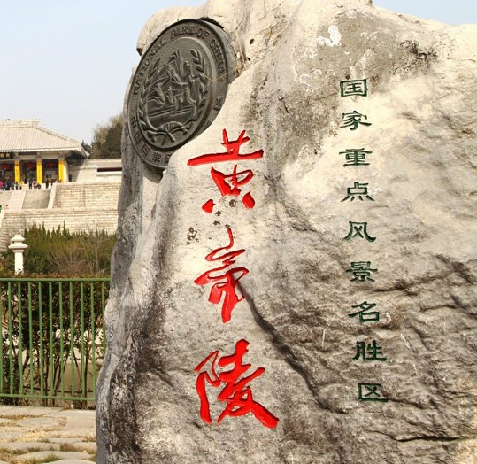 宠物小猪图片