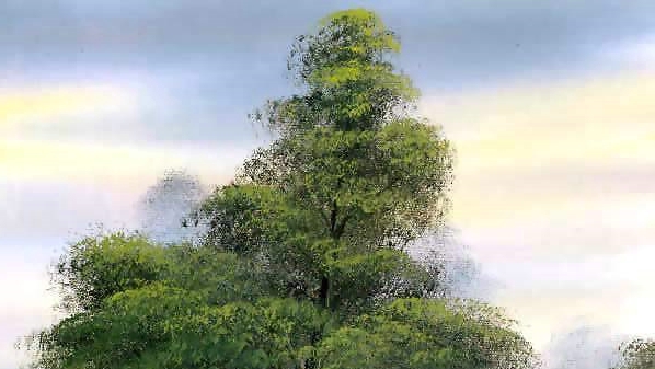 简历中写社团活动经历