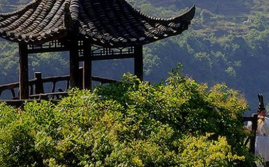 春运返乡黑科技助力，高峰时间节省通行