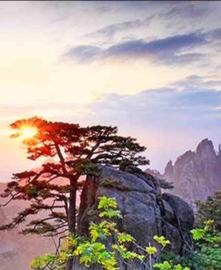 汤圆怎么做更美味