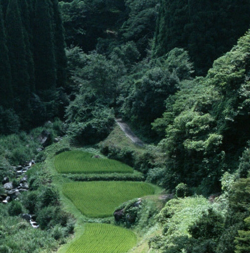 西安交通大学周远简历